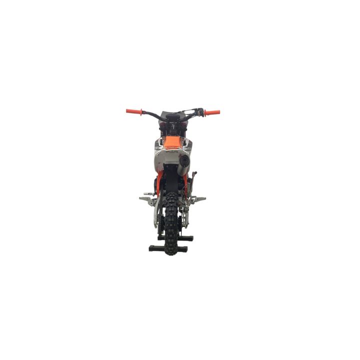 BERRETA EGL 110CC